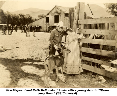 Ken Maynard and Ruth Hall make friends with a young deer in "Strawberry Roan" ('33 Universal).