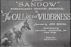 Screen capture of title frame "Sandow" Screenland's greatest sensation in "The Call of the Wilderness".